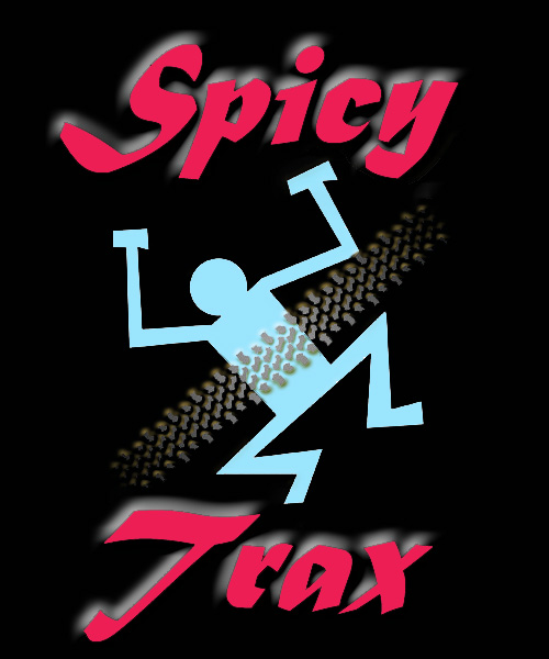 Spicy Trax - The Coverband